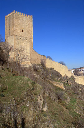 Vista del Castillo de la Yedra
