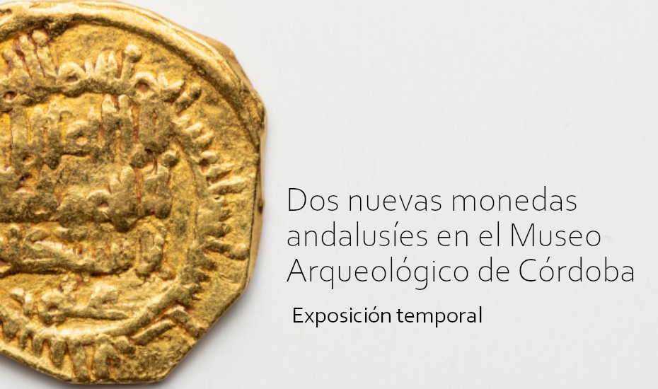 Dos nuevas monedas andalusíes en el Museo Arqueológico de Córdoba