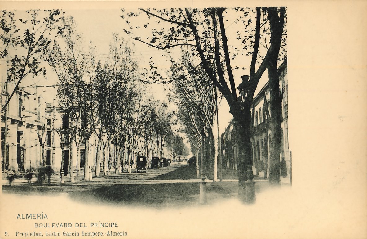 ALMERÍA: Boulevard Del Príncipe. 1902 (DJ06879)