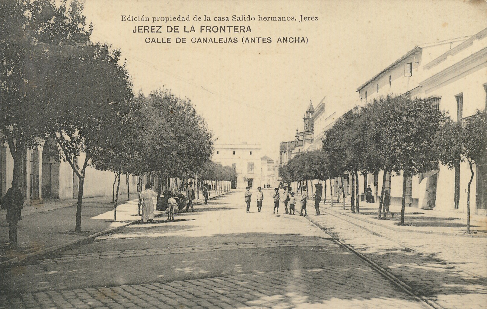 JEREZ DE LA FRONTERA: Calle Larga. 1901(DJ07653)