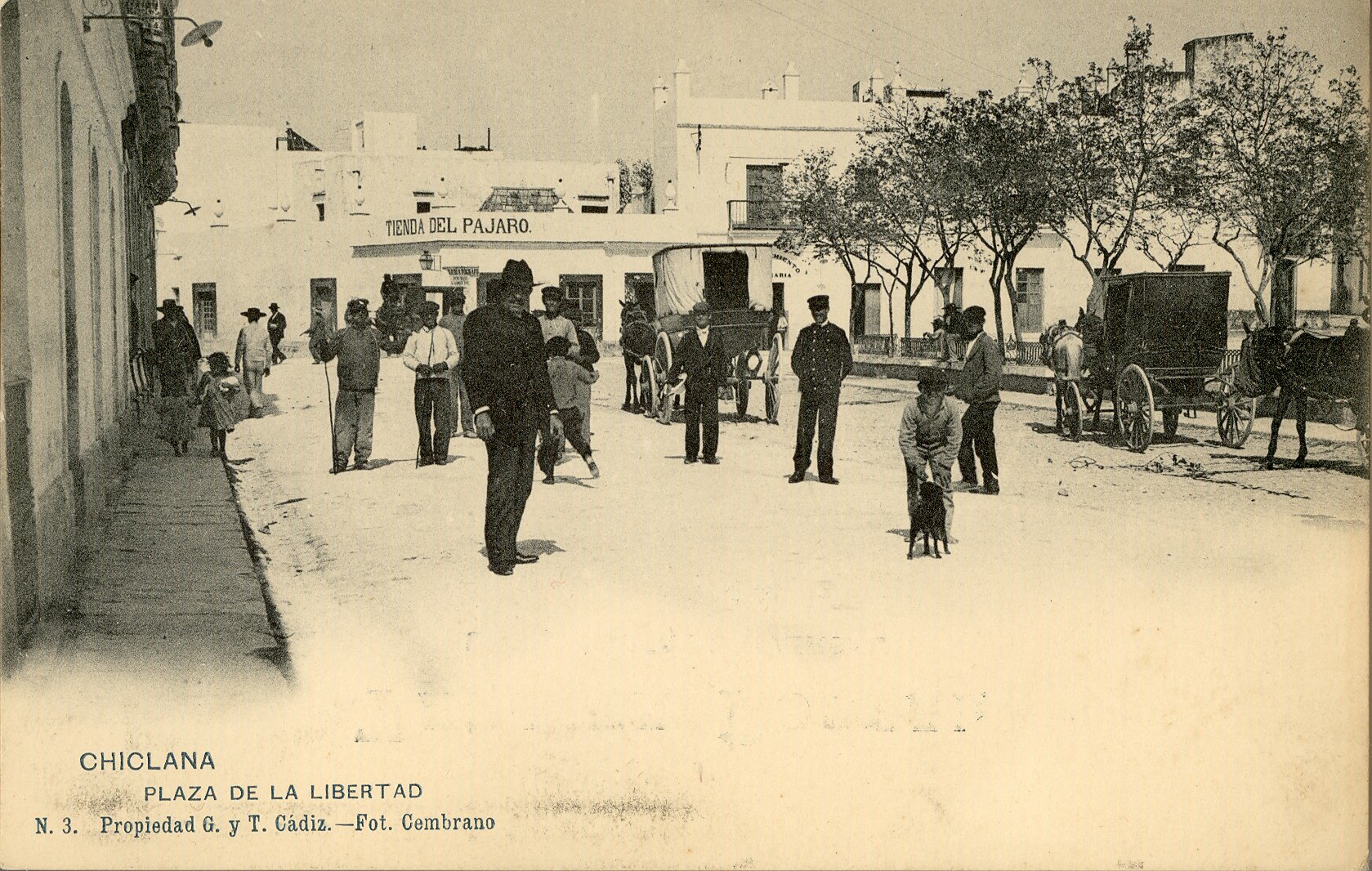 CHICLANA: Plaza de la Libertad. 1903(DJ07599)
