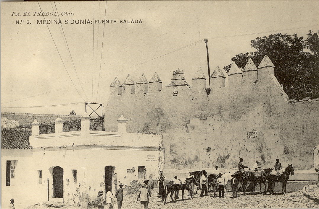 MEDINA SIDONIA: Fuente salada.1908 (DJ07717)