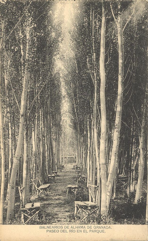 BALNEARIOS DE ALHAMA DE GRANADA: Paseo en el río en el parque. 1919 (DJ07065)