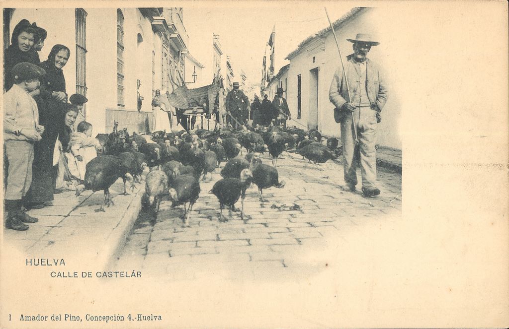 HUELVA: CALLE DE CASTELAR.1902(DJ07160)