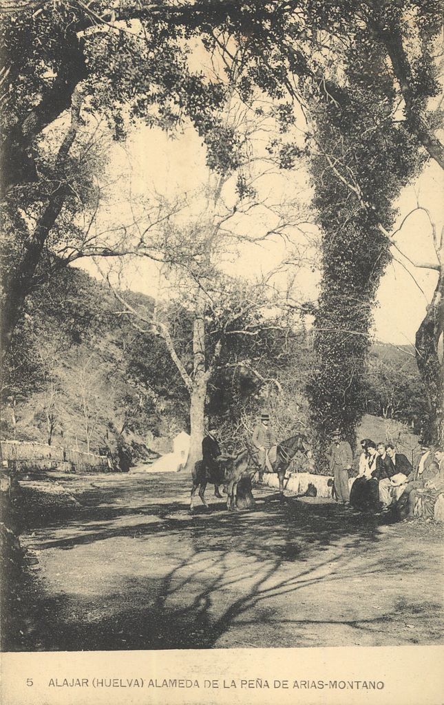 ALÁJAR: Alameda de la Peña de Arias Montano.1919(DJ07198)