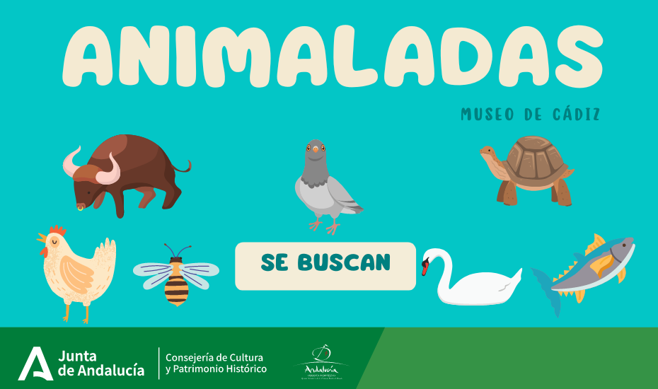 Animaladas en Museo de Cádiz