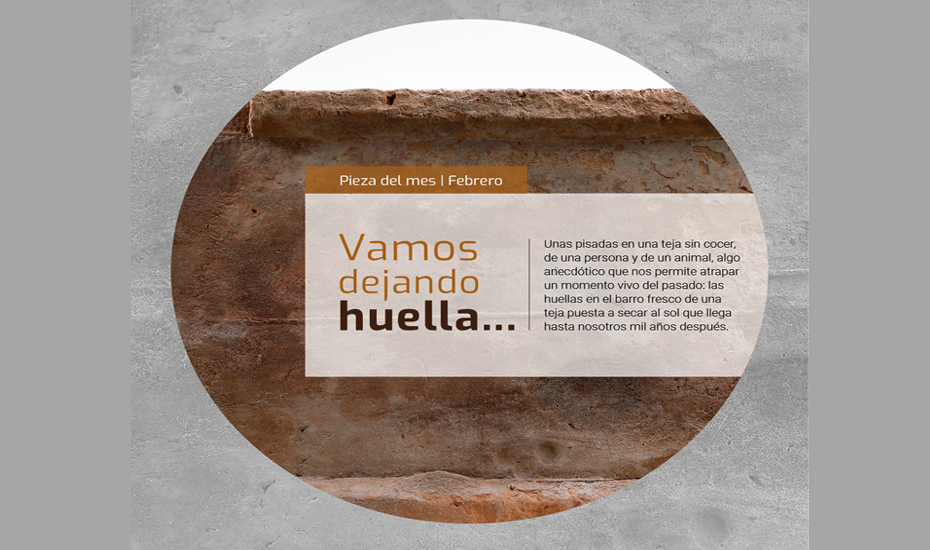 Pieza del mes – Museo de Arqueólogico de Almeria (Almería)